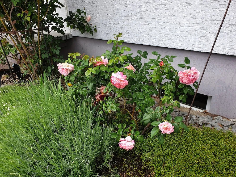 Pension Boitz