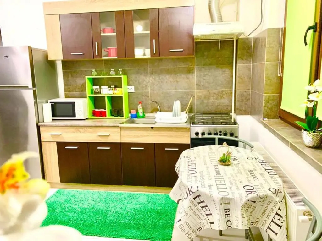 Central 2 bedrooms apartment near Palas Mall