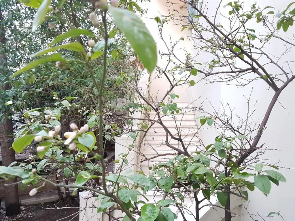 Errathens Aegean Apartment - Athens Center, 5 BD, 2 BATH
