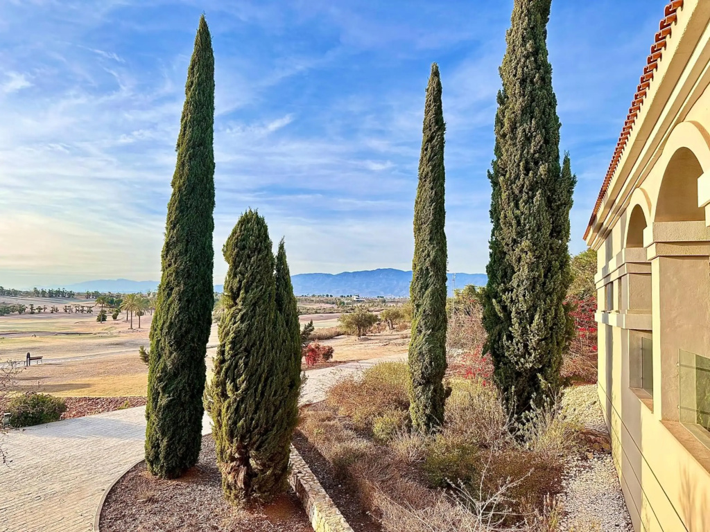 Casa Palma- Luxurious 2 Bedroom Penthouse