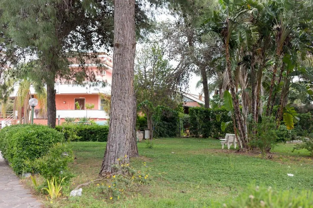 Family Friendly House