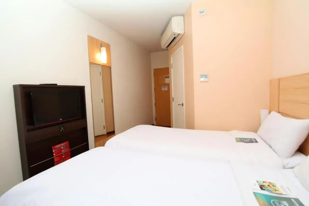 Ibis Providencia