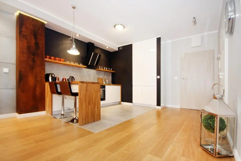 Livin Apartments Santocka
