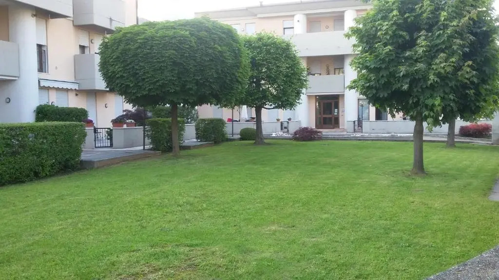civico 38