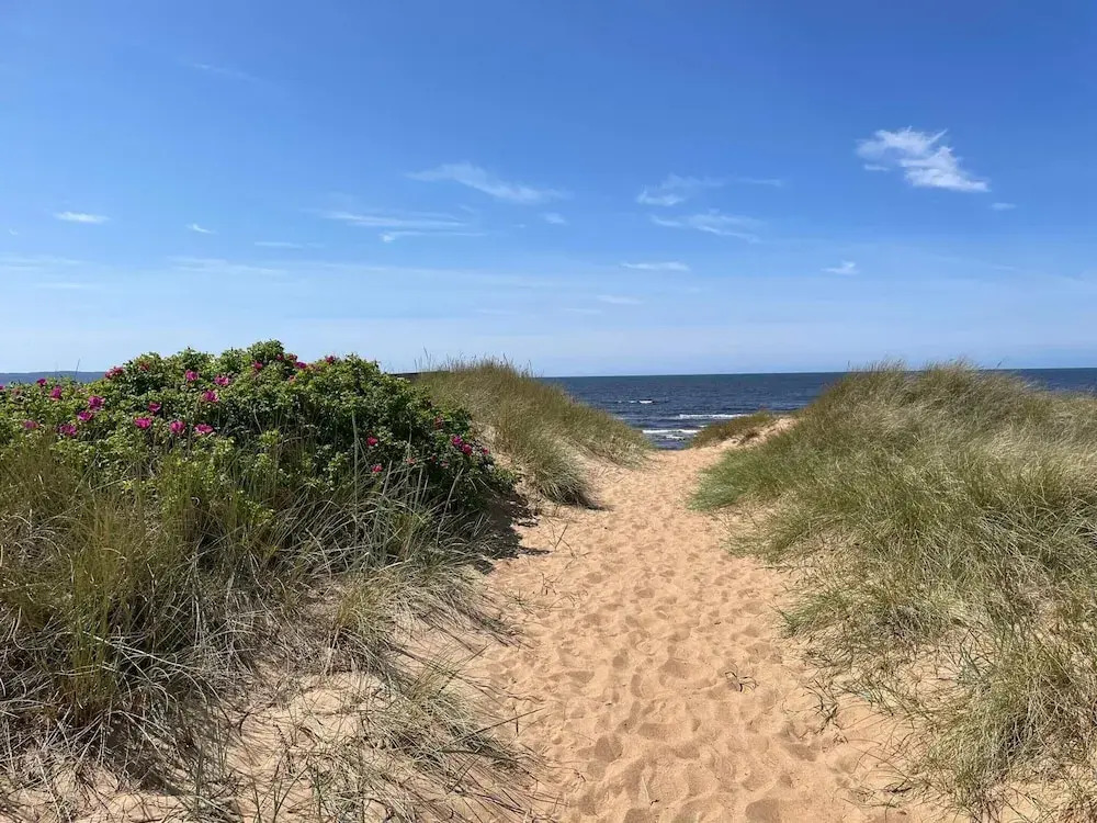 5 Star Holiday Home in Mellbystrand