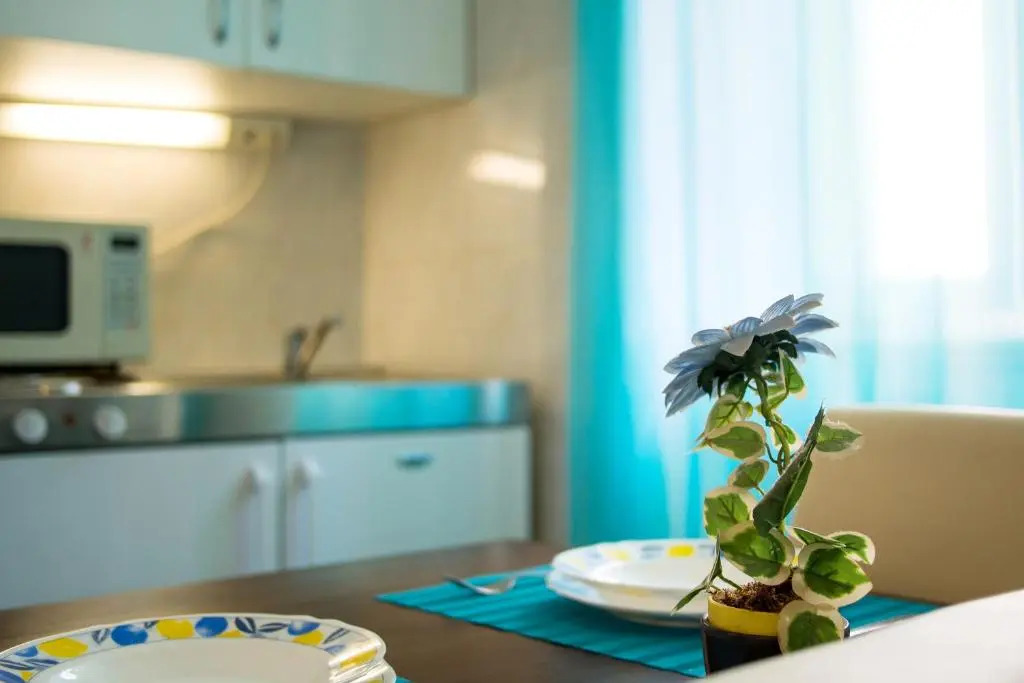 Apartment Bosanska