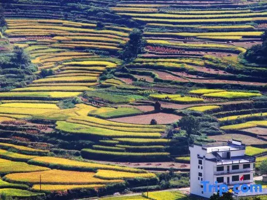 Courtyard No.1 | Wuyuan Mountain Villa · Villa Space Design Resort (Huangling Scenic Area Branch)