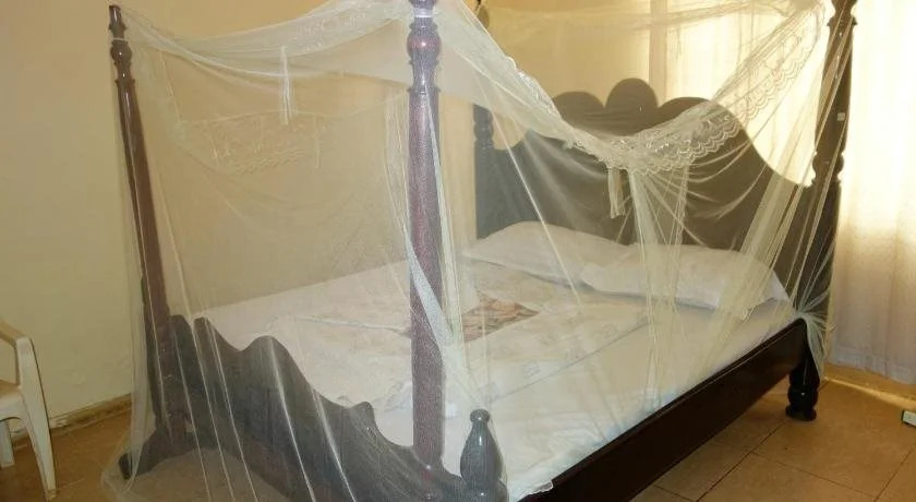 Yahoo Guest House