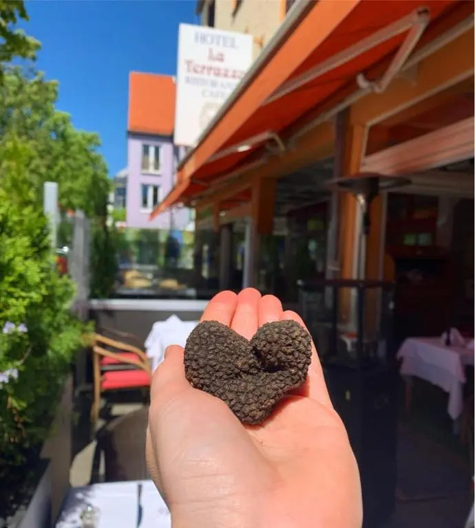 Hotel Ristorante La Terrazza