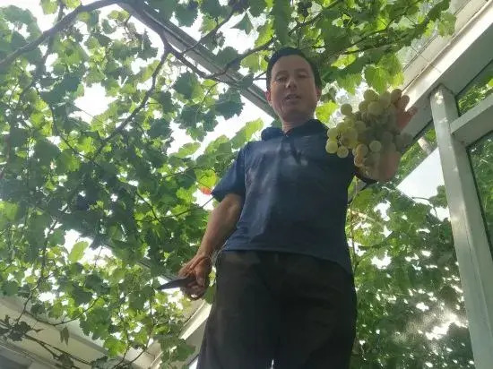 Beijing Xiaoyuan Homestay