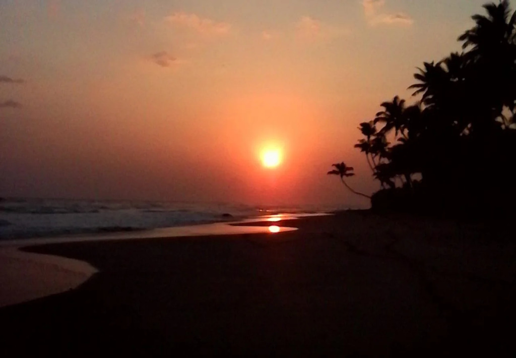 Surf and stay