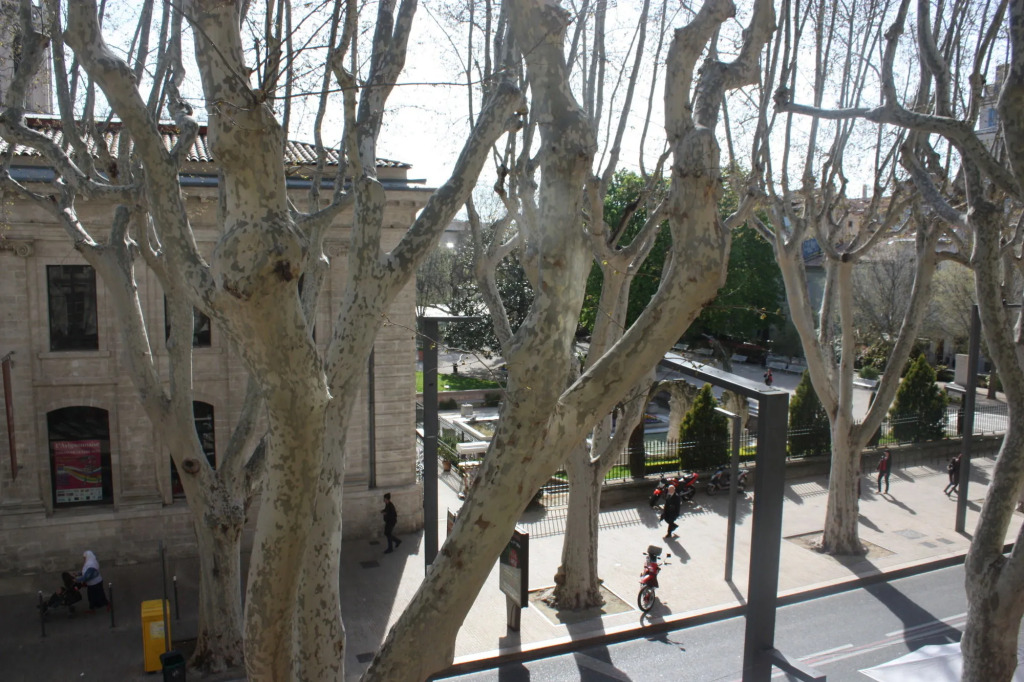 Hotel Alizéa