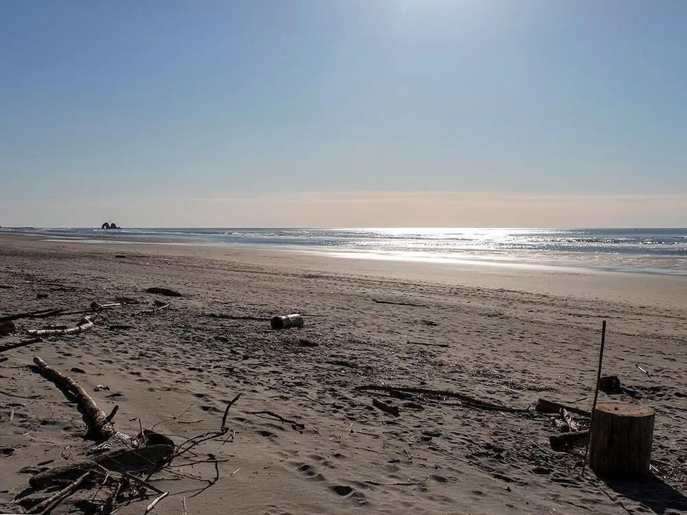 Surfside Getaway