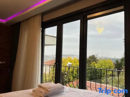 Stylish Apartment with Bosphorus View