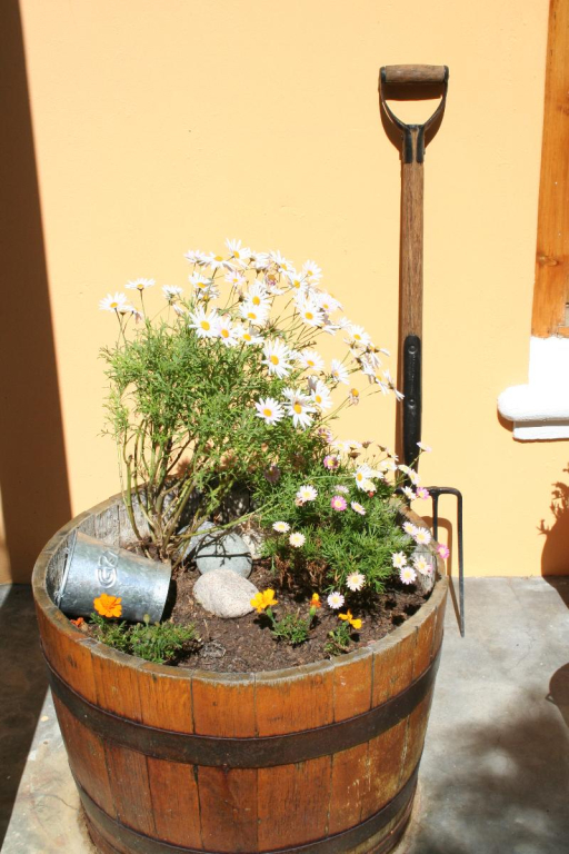 Sweet Orange Guest House
