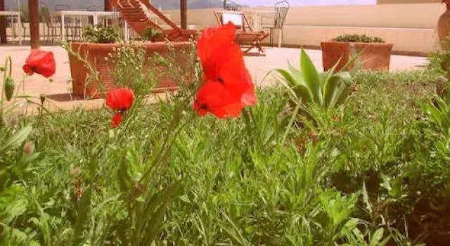 Hotel A Cannata