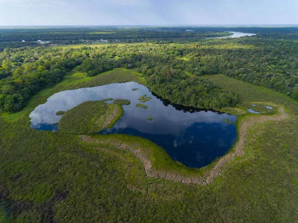 Porto Jofre Pantanal