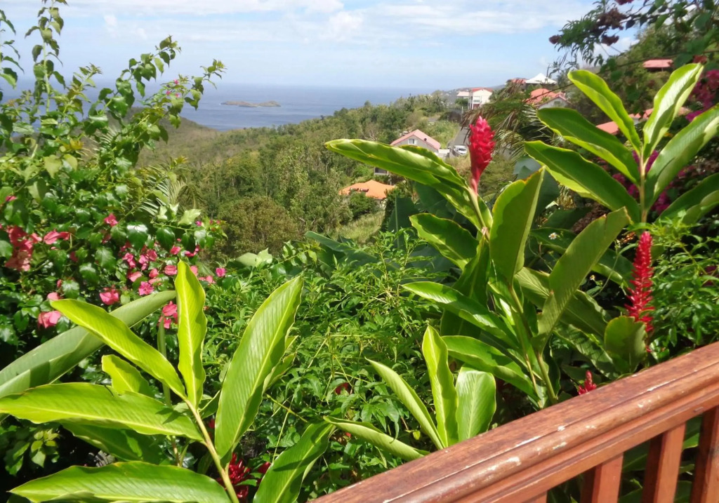 Villa Fleur de Lune