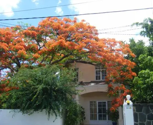 Villa Sirandane