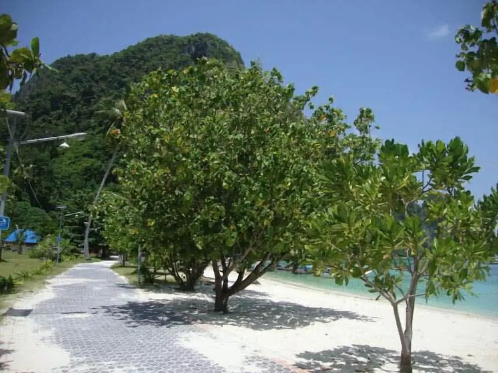 Phi Phi Sand Sea View Resort