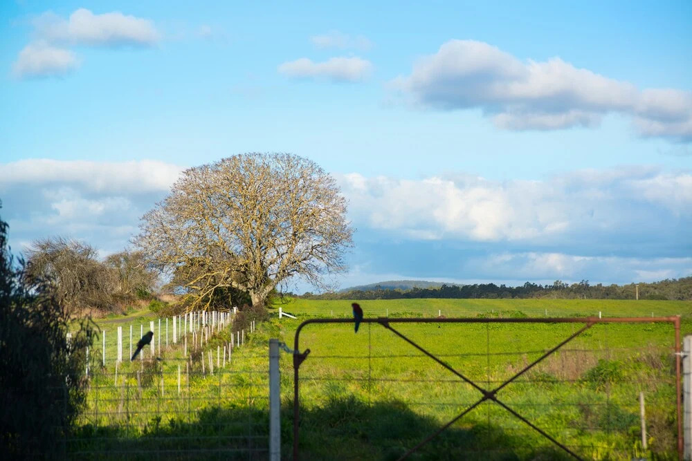 The Royal Standard Farm Daylesford