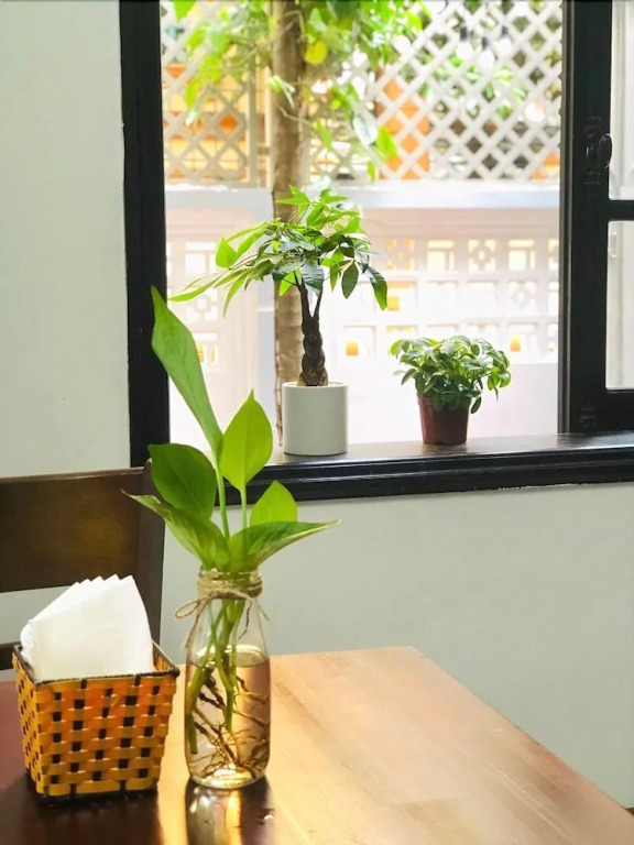 ZO Hotels To Ngoc Van
