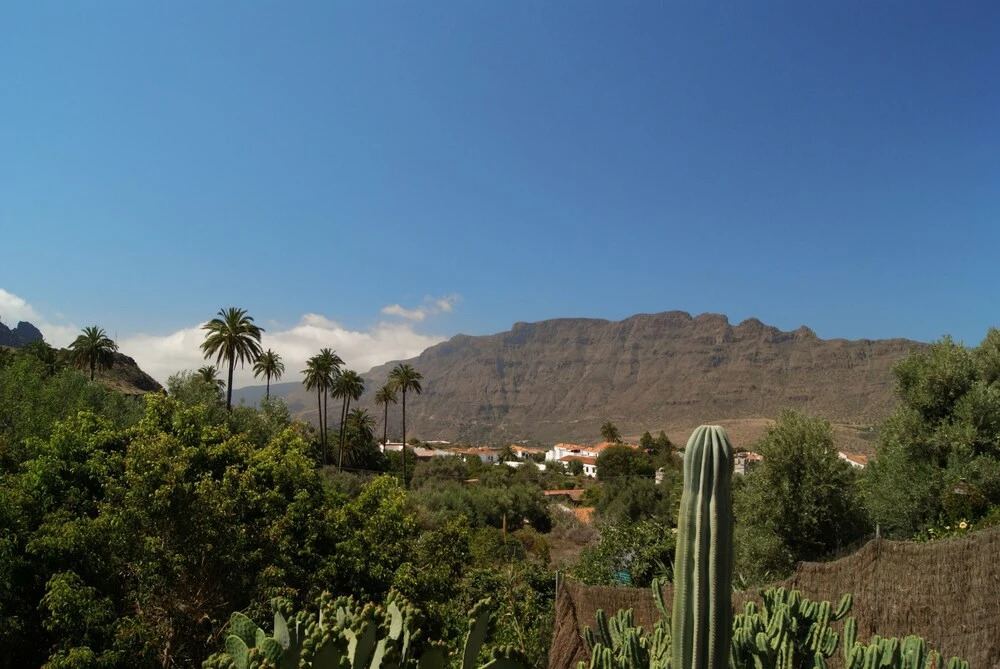 Casa rural EL Olivar - El Orujo