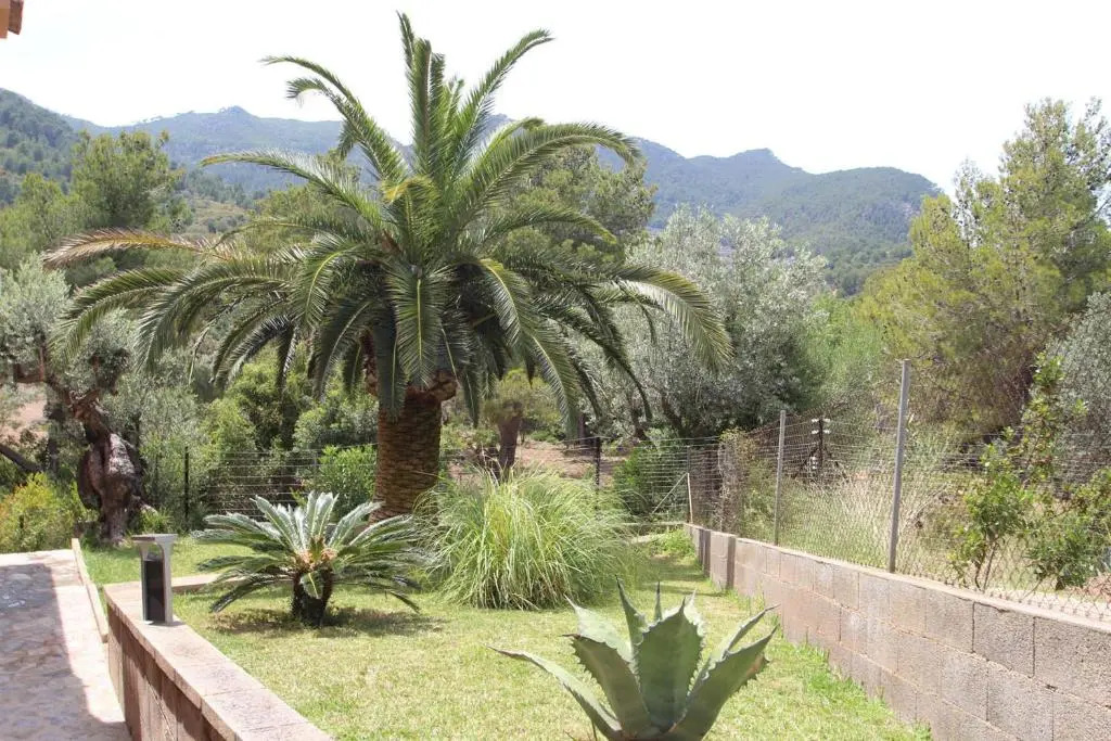 Villa Capllonch