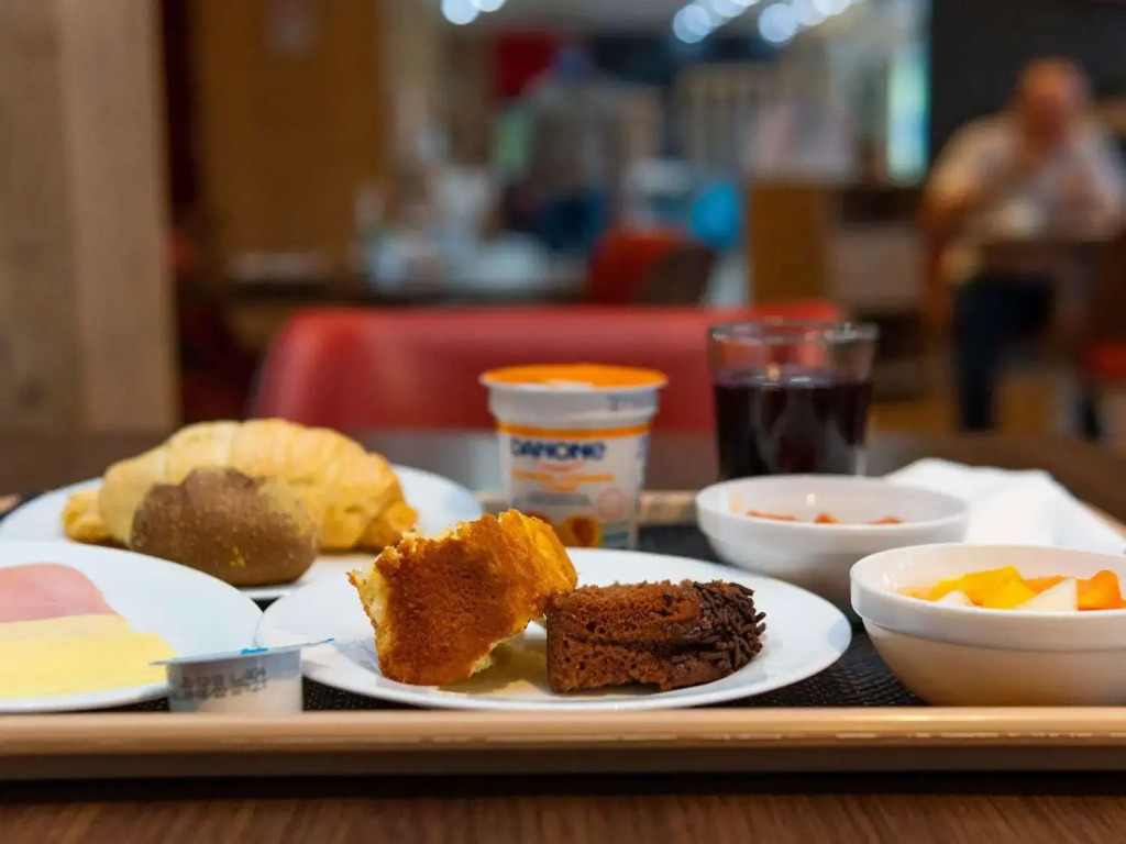 ibis Novo Hamburgo