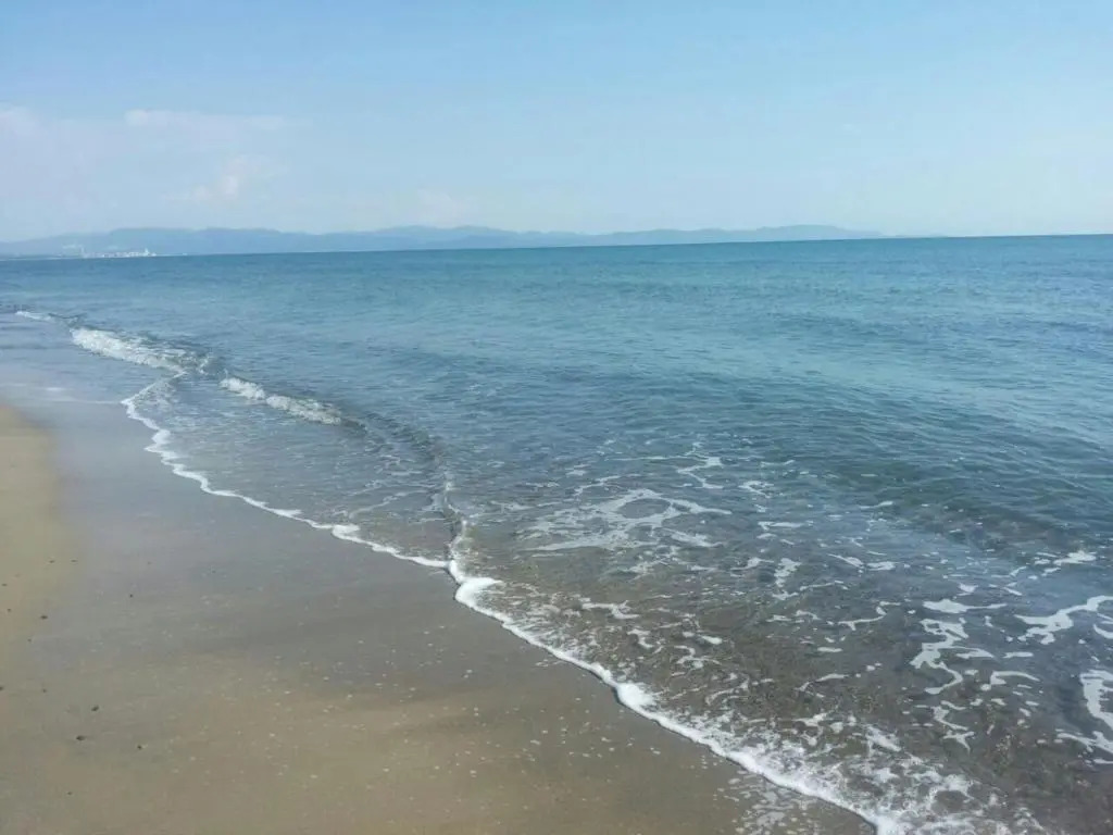 Casa Vacanze Carlappiano