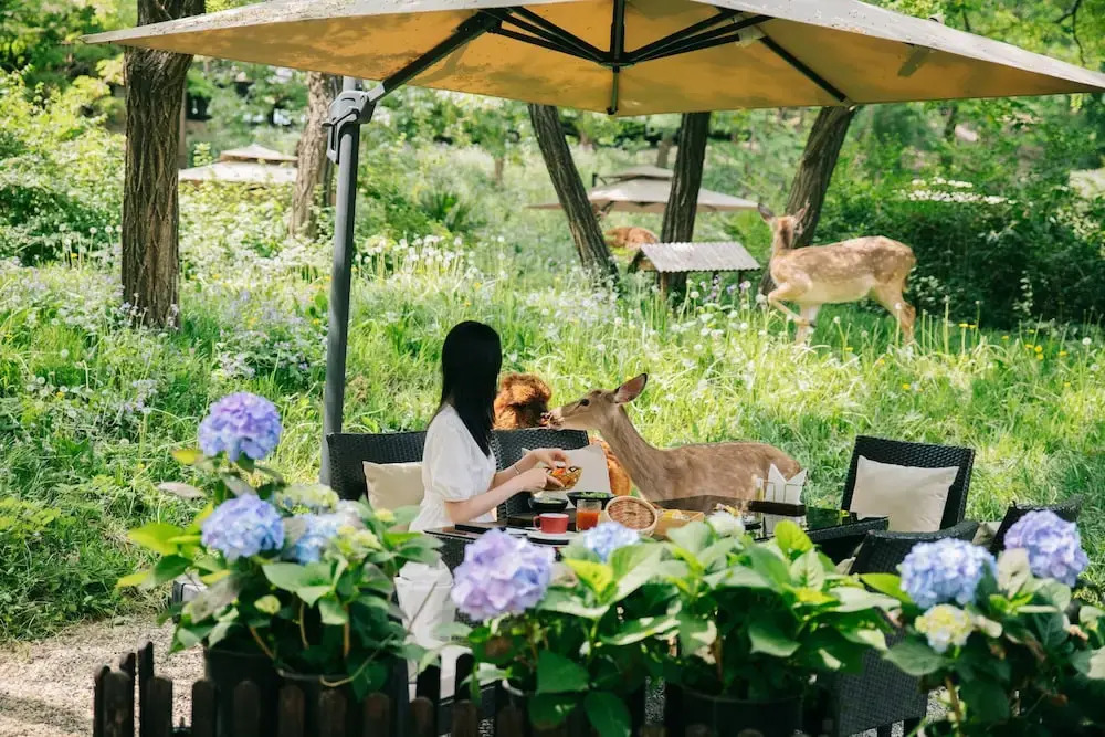 Zhi Resort Beijing