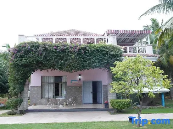 Forest Inn (Story of Bo'aohai)