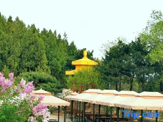 Beijing Guanshandi Hotel