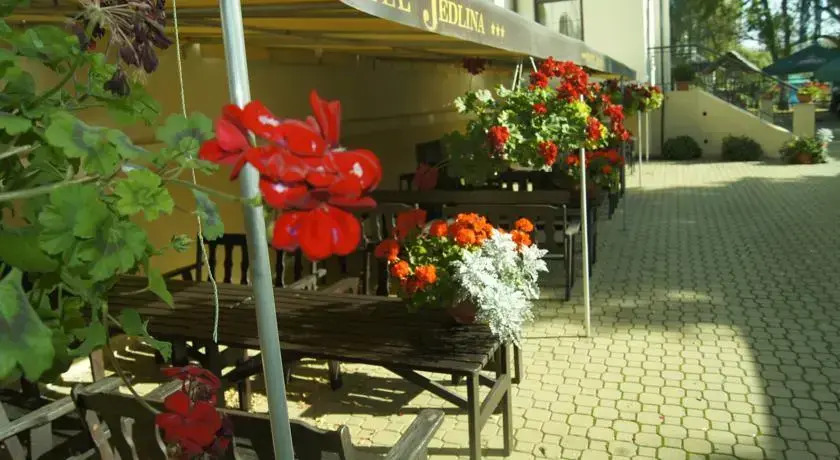Hotel Jedlina