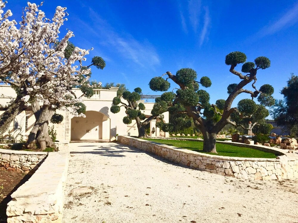 Villa Teresa - Apartment 2