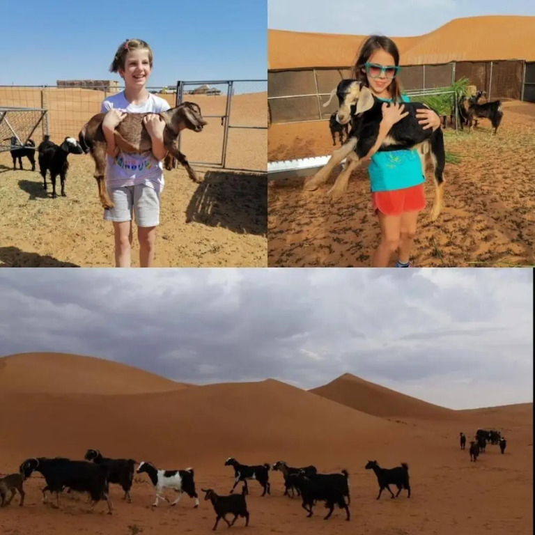 Alsarmadi Desert Camp