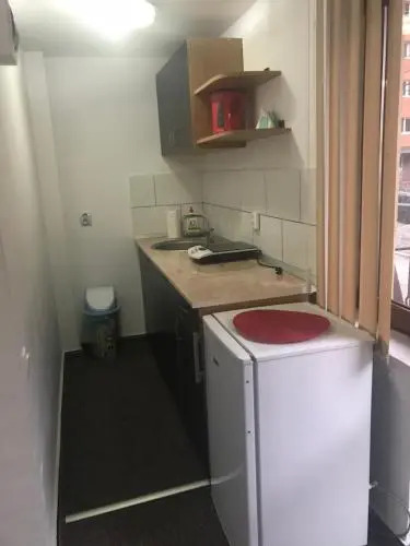 Vila Ammos Apartments Busteni