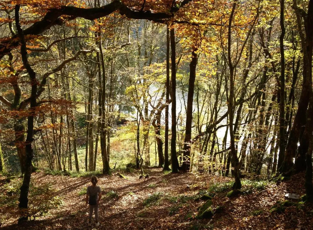 Belvédère