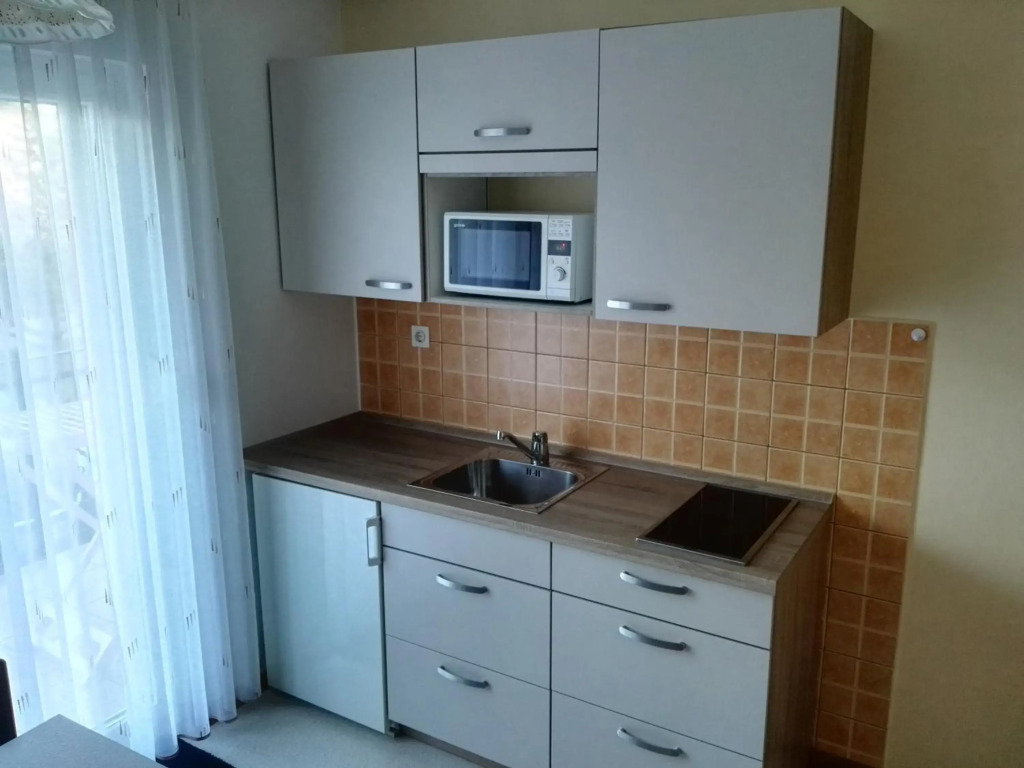 Apartments Silič