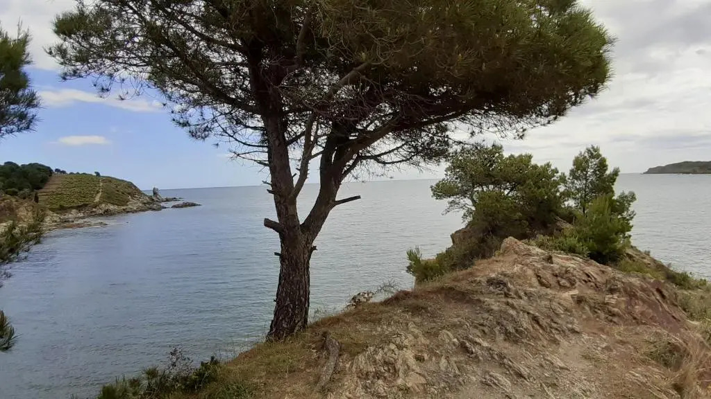 CAP d OSNE - BANYULS SUR MER - 2MN PLAGE