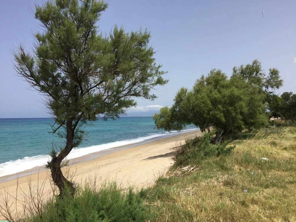 Roseto Beach Club Beach Front Property