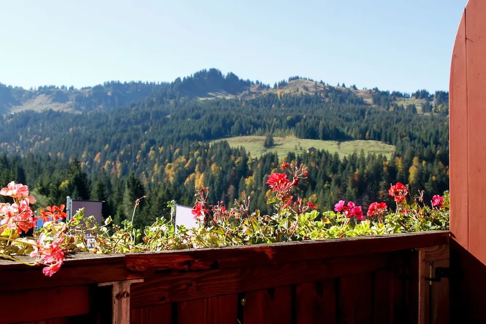 Berghotel Wald&Wiesn