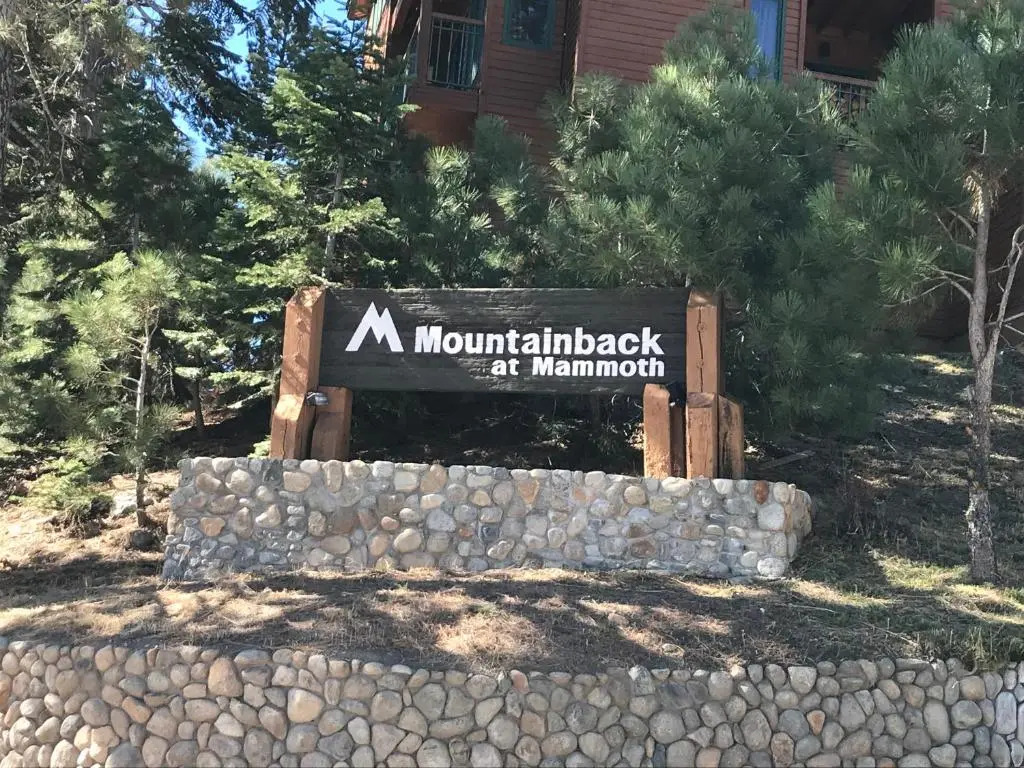Mountainback #71