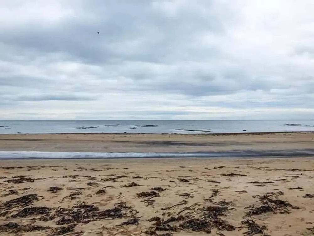 Sandy Knowes