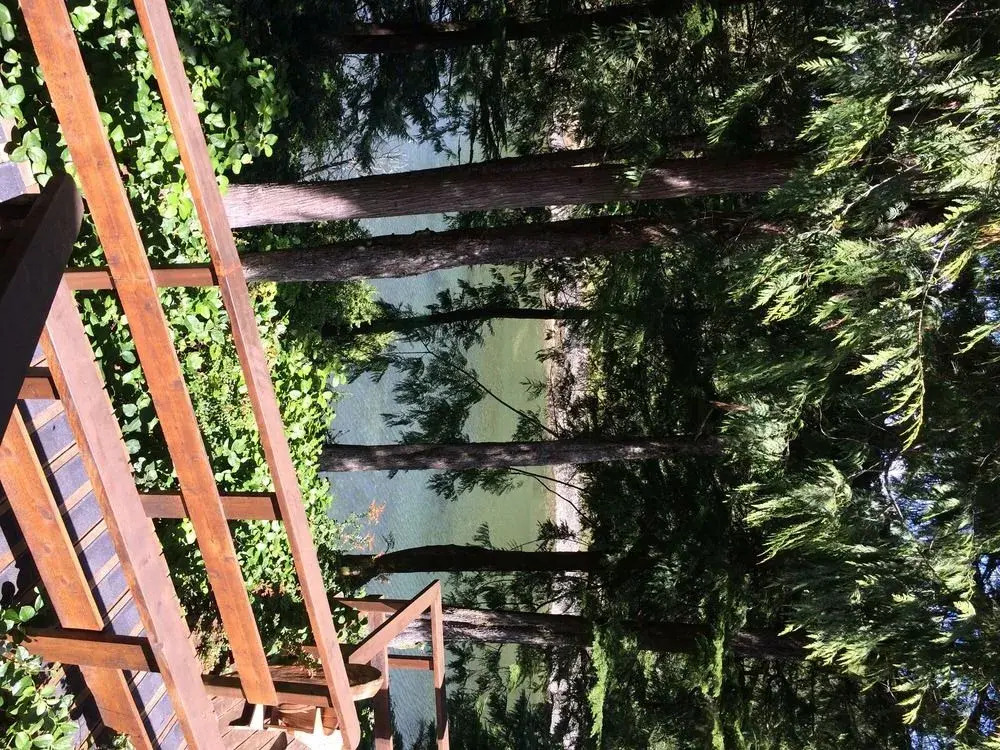 Wild Pacific Waterfront Cabins