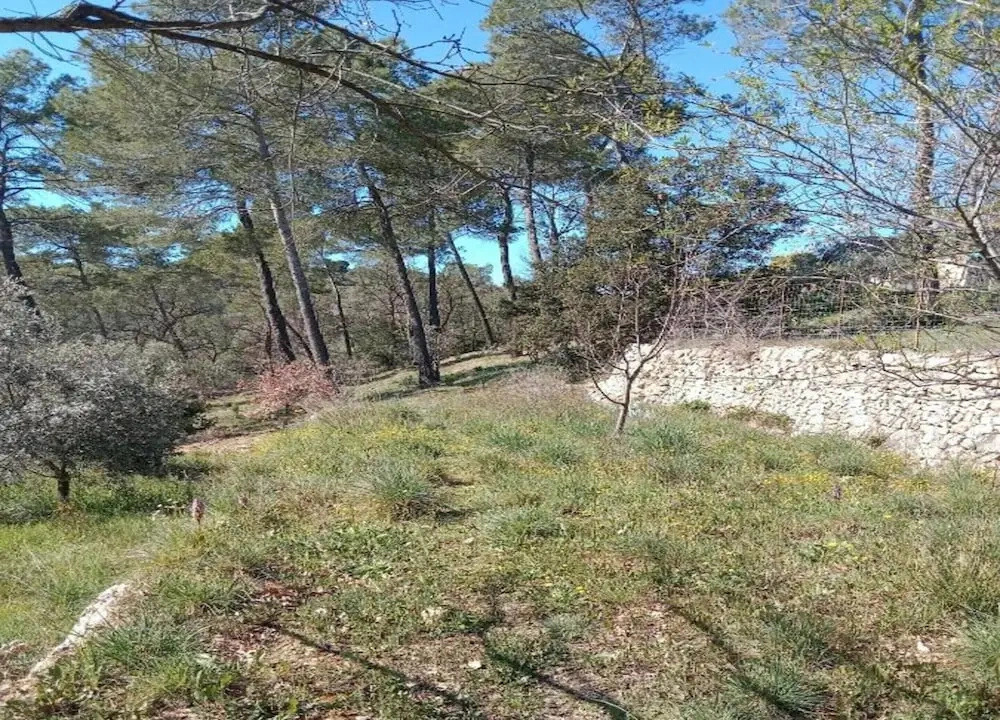 Holiday Home in Var With Private Pool