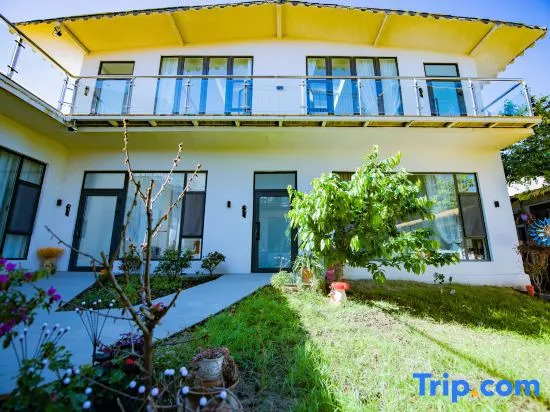 Turks Flip Pigeon Homestay