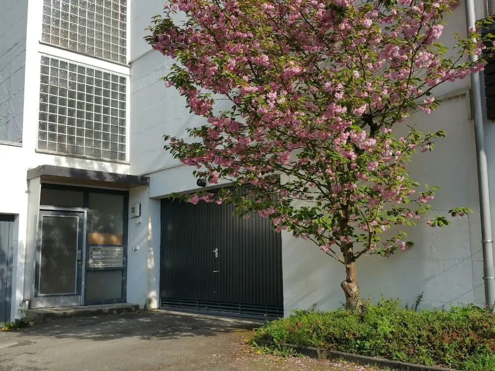 criston apartments - central living P