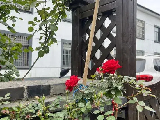Tian Yunju Homestay