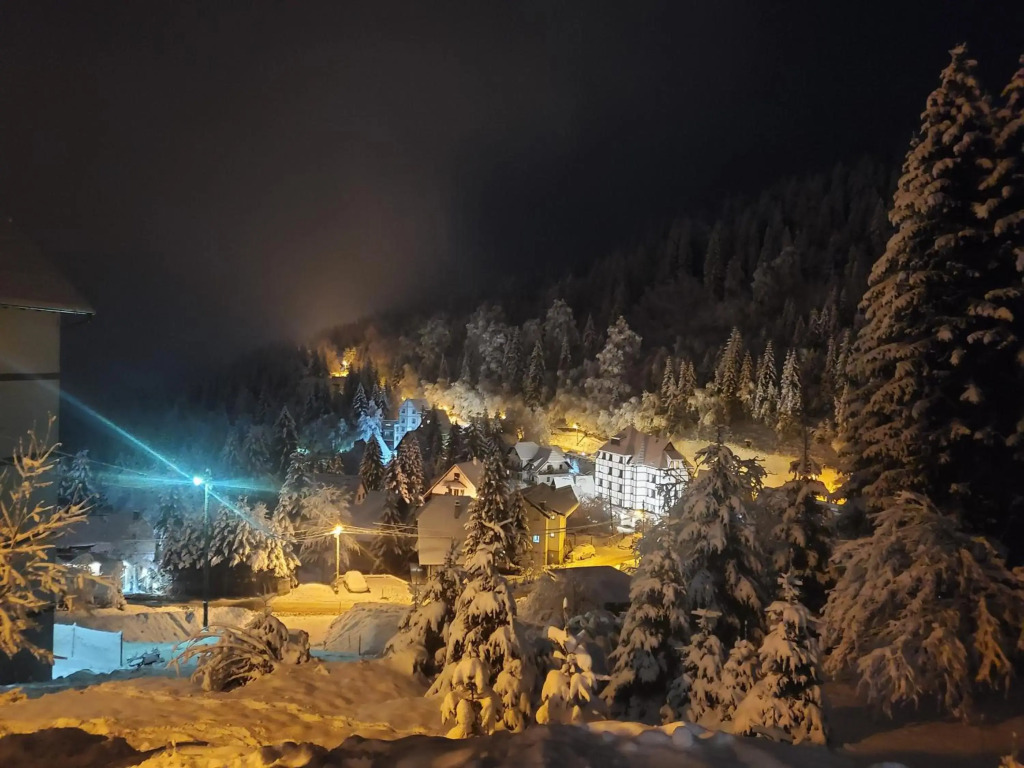 Villa Kostic Kopaonik